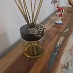 Lucana